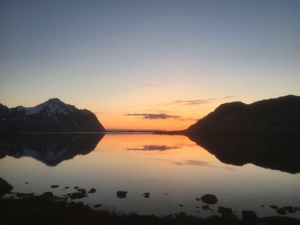Midnight Sun View Lofoten ليكنيز المظهر الخارجي الصورة