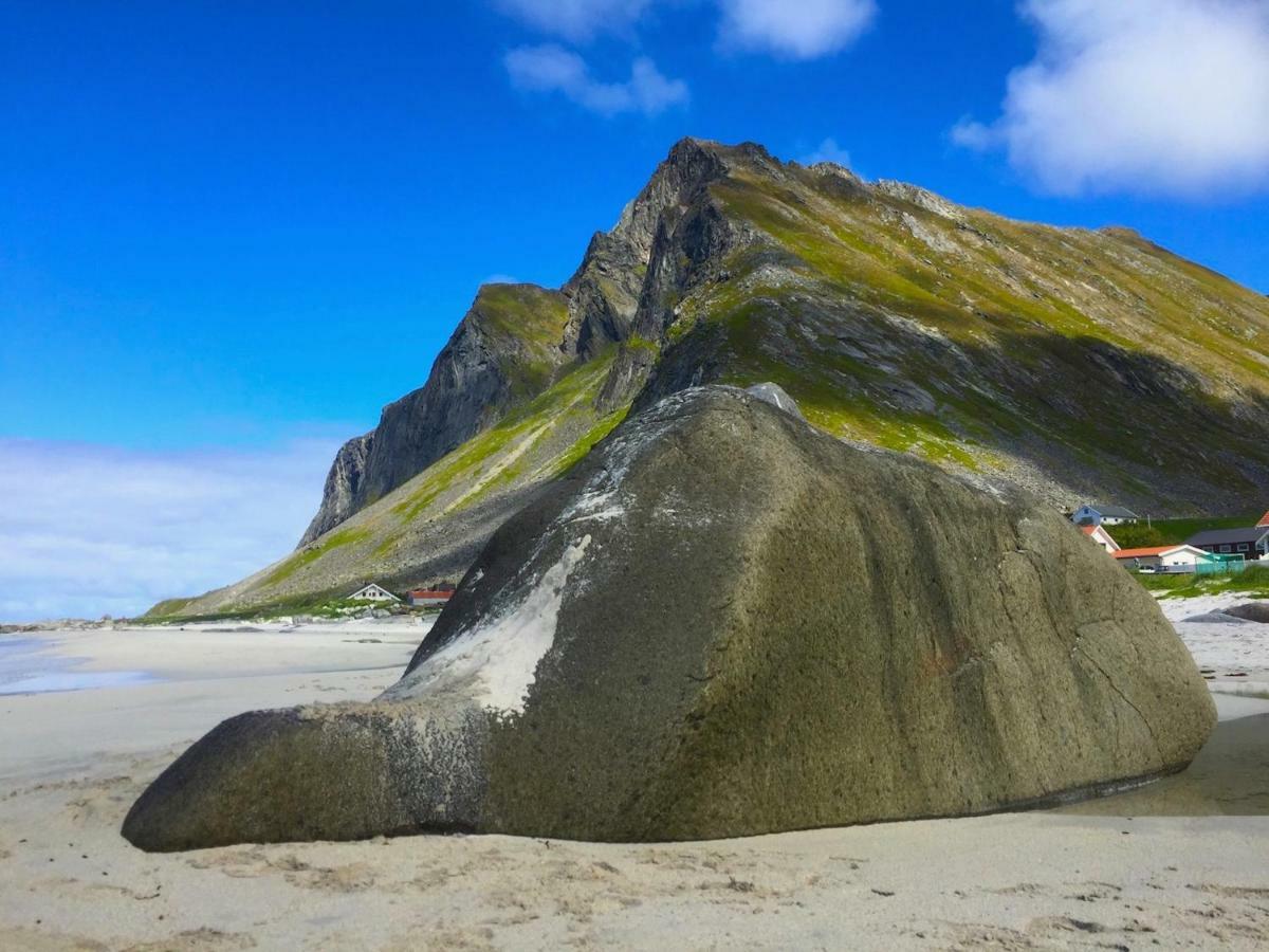 Midnight Sun View Lofoten ليكنيز المظهر الخارجي الصورة