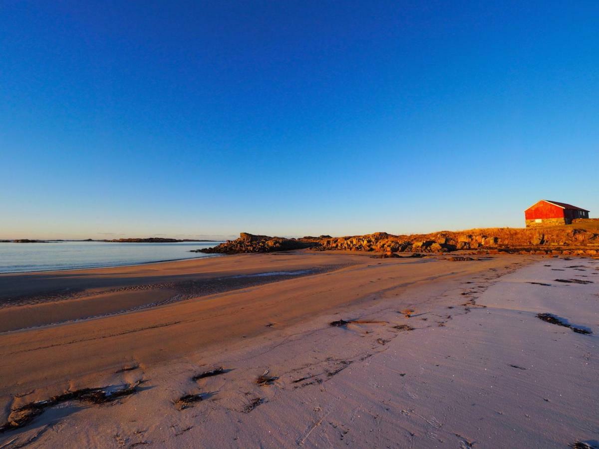Midnight Sun View Lofoten ليكنيز المظهر الخارجي الصورة